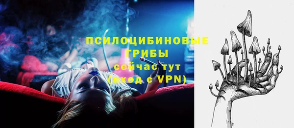 дмт Россошь