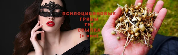 ешки Дубна