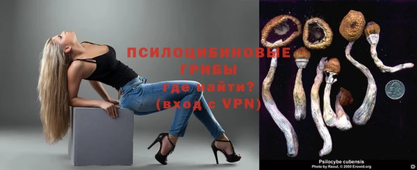 твердый Пролетарск