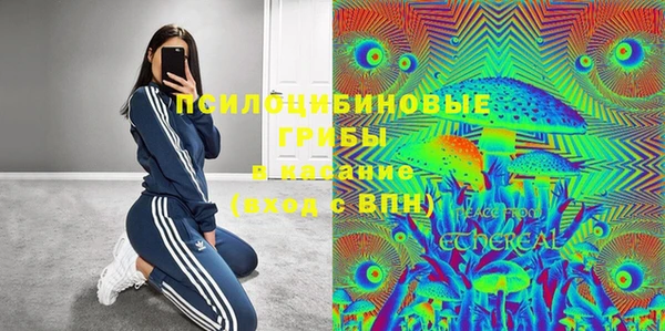ПСИЛОЦИБИНОВЫЕ ГРИБЫ Протвино