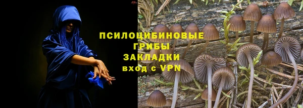 твердый Пролетарск