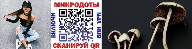наркошоп  Сельцо  Галлюциногенные грибы мухоморы 